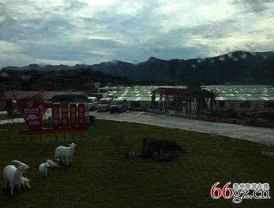 貴州省吉爾斯循環(huán)農(nóng)業(yè)發(fā)展形勢(shì)喜人——家禽家畜養(yǎng)殖助力鄉(xiāng)村振興