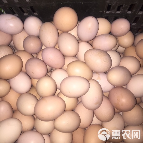 水產(chǎn)品四大家魚(yú)與家禽家畜批發(fā)行情解析