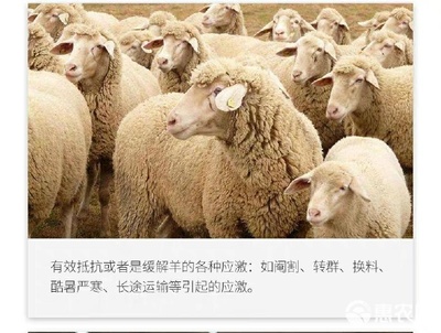 復(fù)合型多維家禽家畜通用飼料的應(yīng)用與優(yōu)勢(shì)