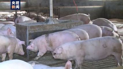 洪澇災(zāi)害對(duì)全國(guó)畜產(chǎn)品生產(chǎn)影響有限，家禽家畜供應(yīng)總體穩(wěn)定